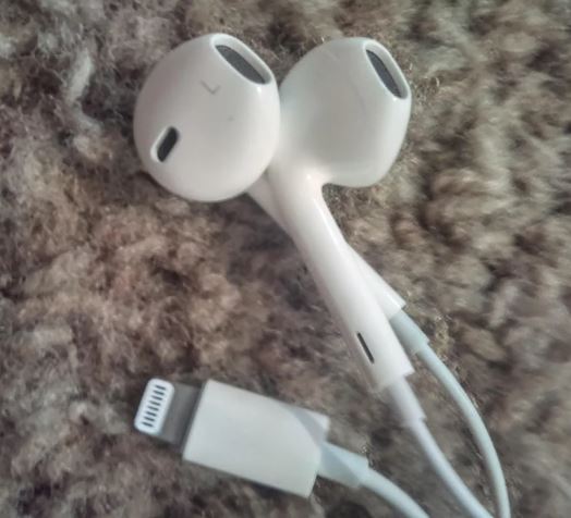 iphone EarPods USBc
